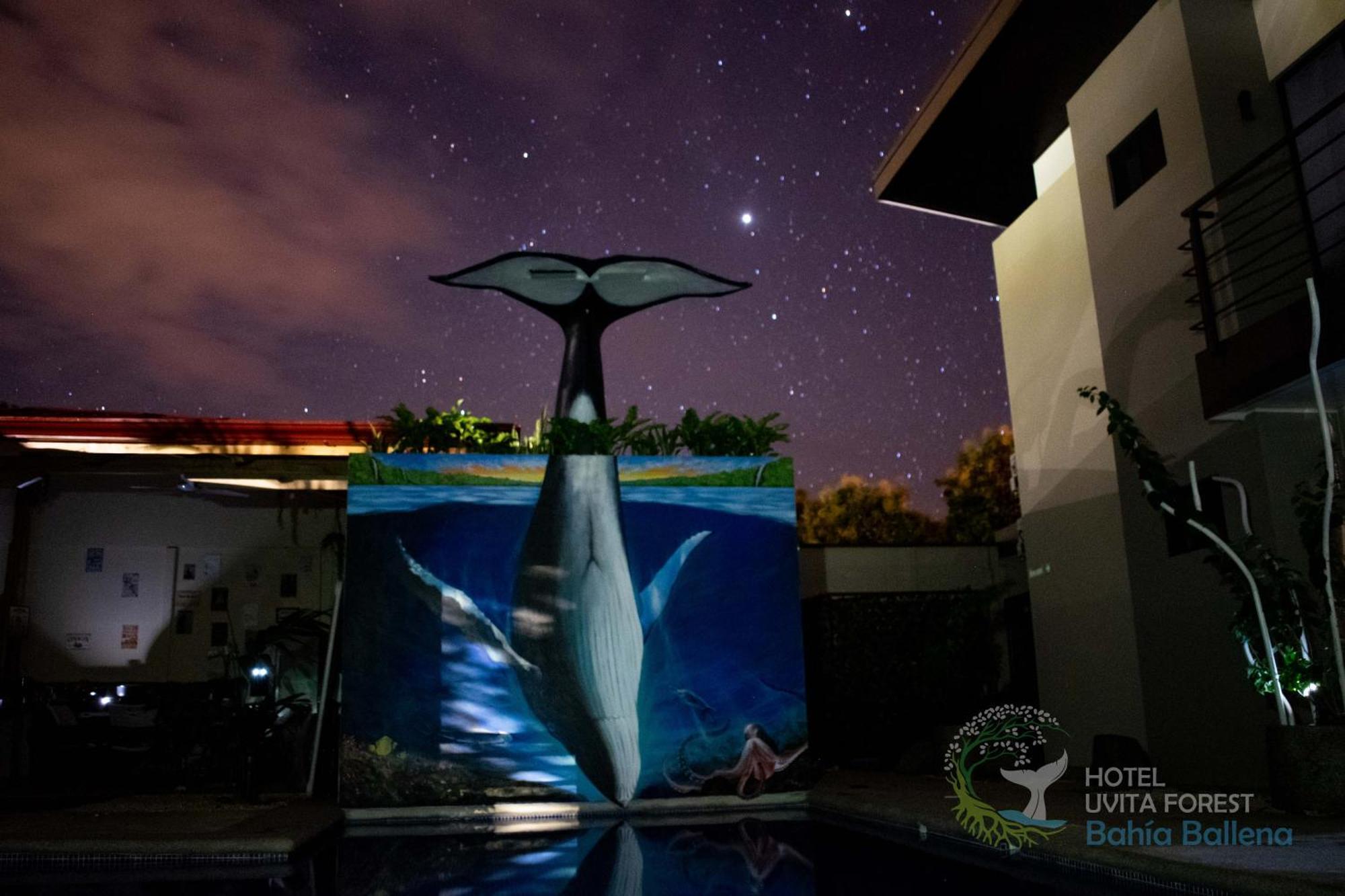 Hotel Uvita Forest Ngoại thất bức ảnh