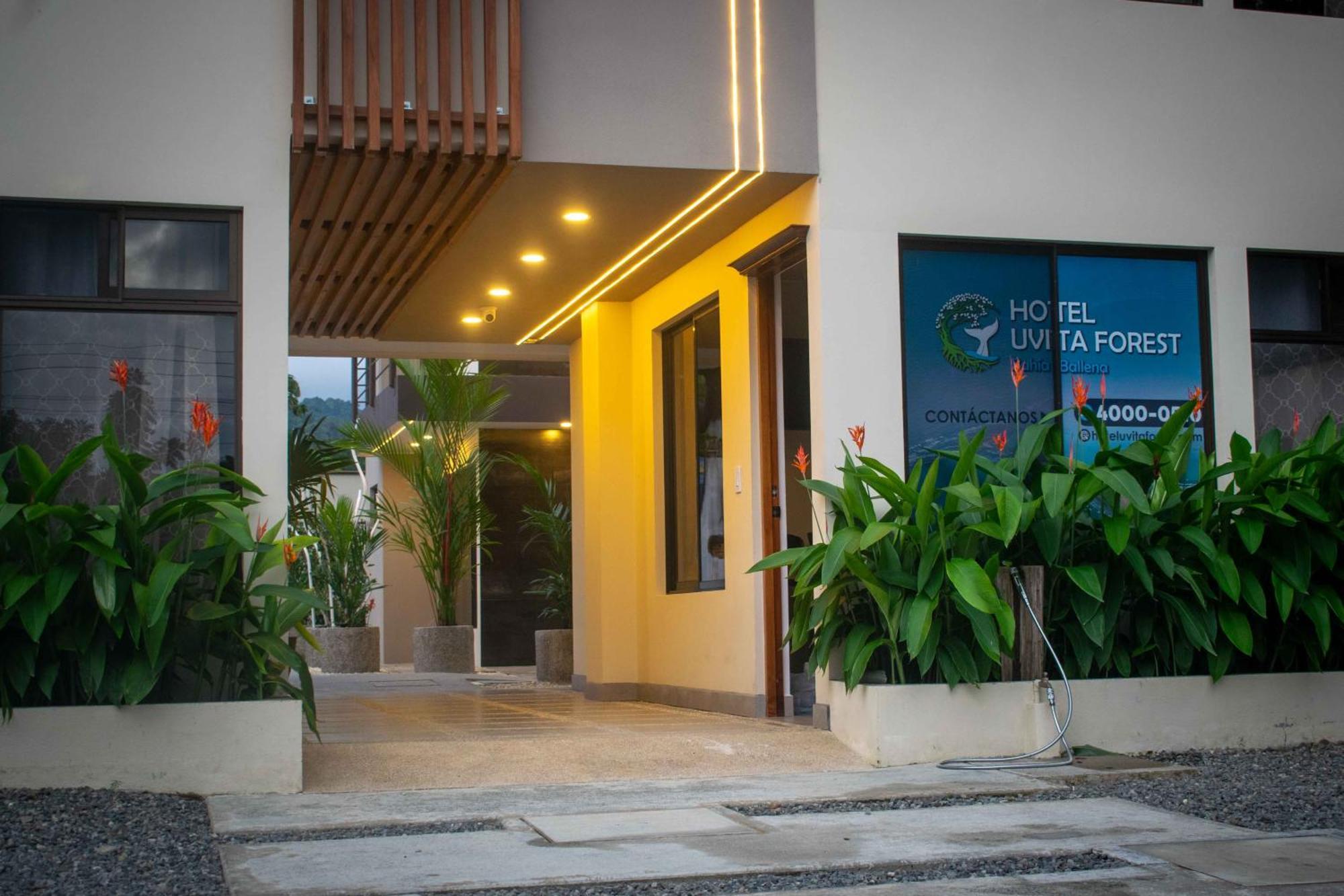 Hotel Uvita Forest Ngoại thất bức ảnh